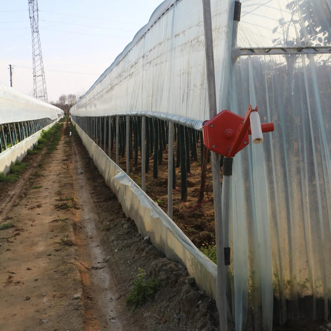 8M*30M Very strong frame and film for agricultural vegetable polytunnel Greenhouse