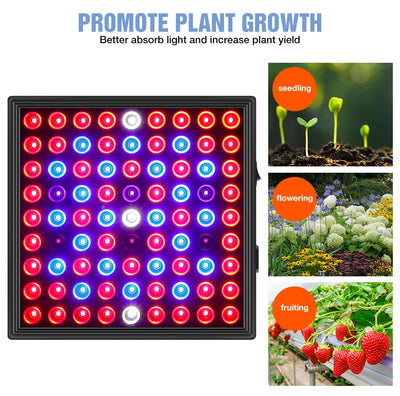 EU US UK Plug Vegetables Seed Phyto Grow Lamp LED Full Spectrum Hydroponic System Growing Light 30W 50W Seedling Fito Lampy 220V