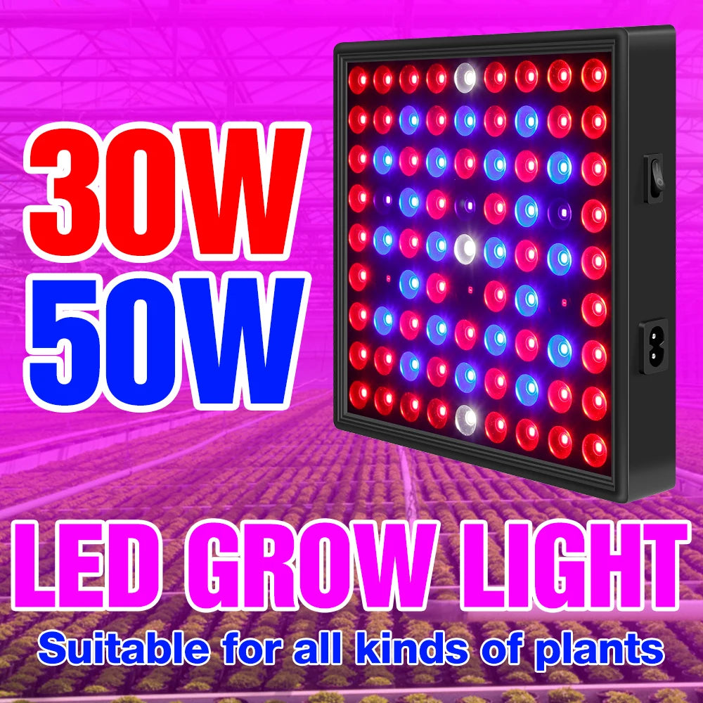 EU US UK Plug Vegetables Seed Phyto Grow Lamp LED Full Spectrum Hydroponic System Growing Light 30W 50W Seedling Fito Lampy 220V