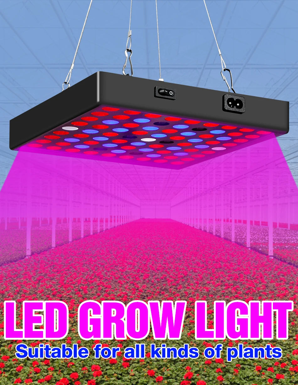 EU US UK Plug Vegetables Seed Phyto Grow Lamp LED Full Spectrum Hydroponic System Growing Light 30W 50W Seedling Fito Lampy 220V