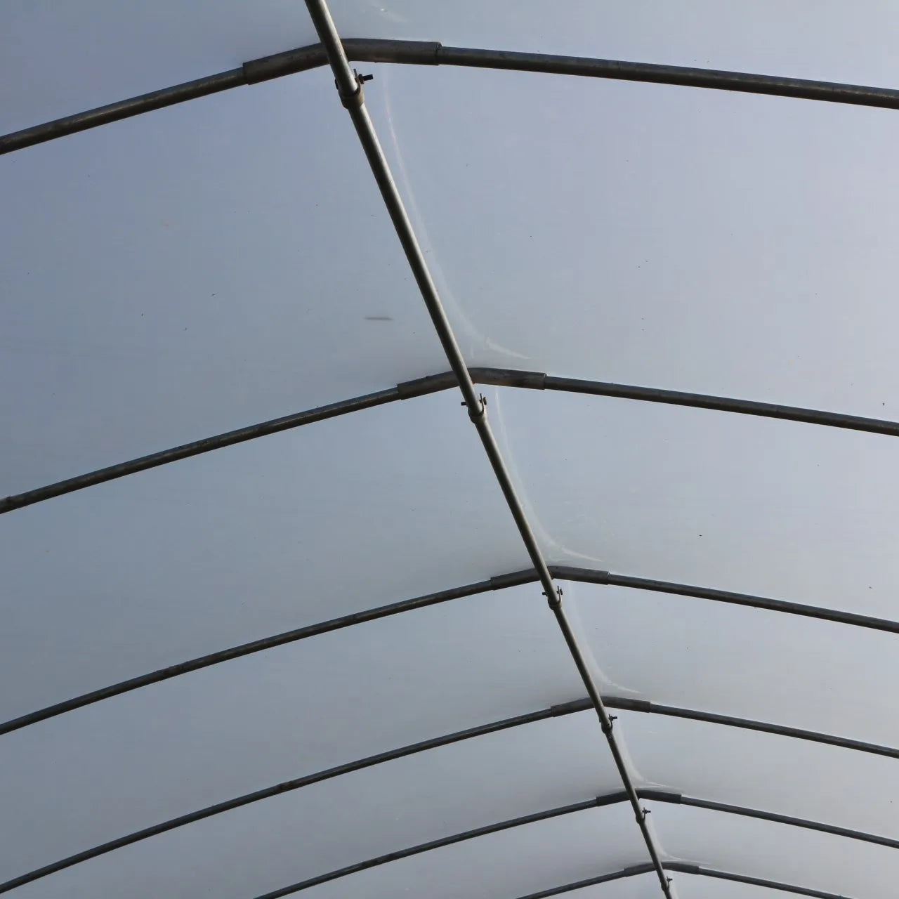 8M*30M Very strong frame and film for agricultural vegetable polytunnel Greenhouse