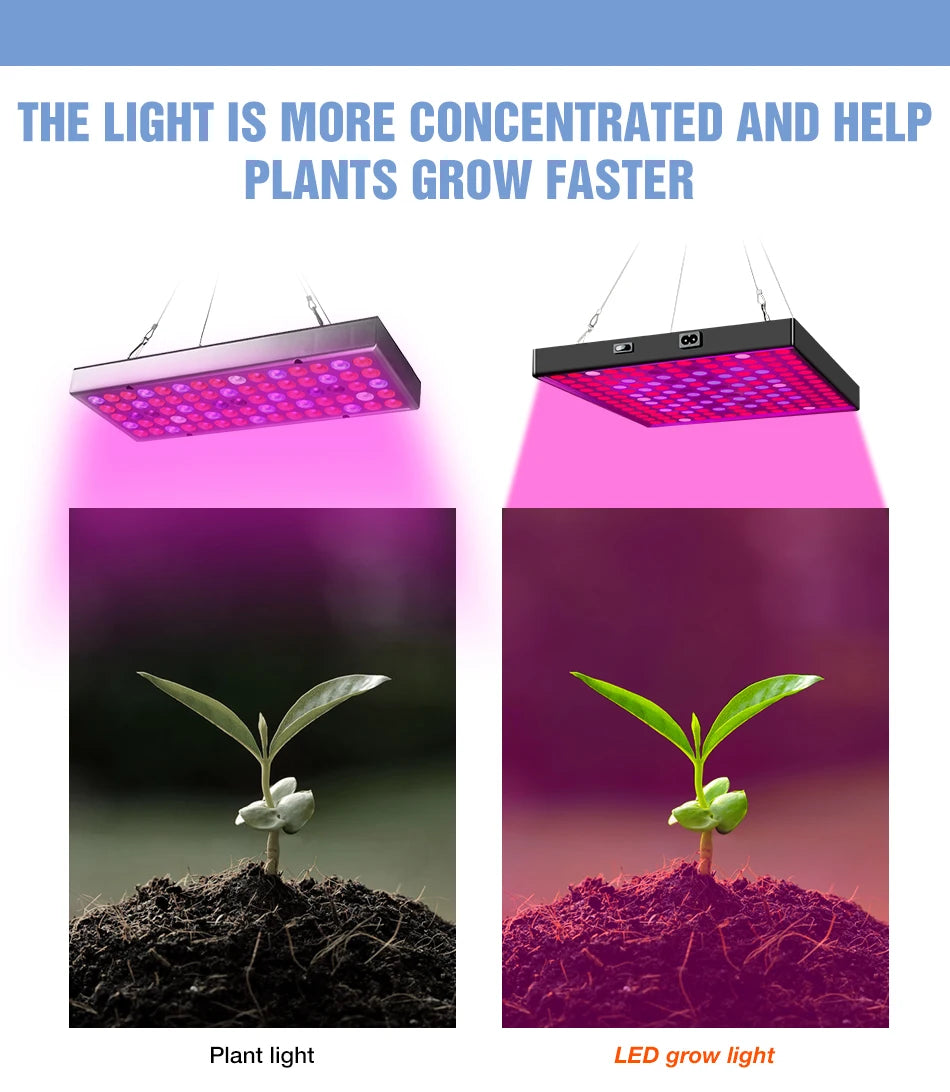 EU US UK Plug Vegetables Seed Phyto Grow Lamp LED Full Spectrum Hydroponic System Growing Light 30W 50W Seedling Fito Lampy 220V