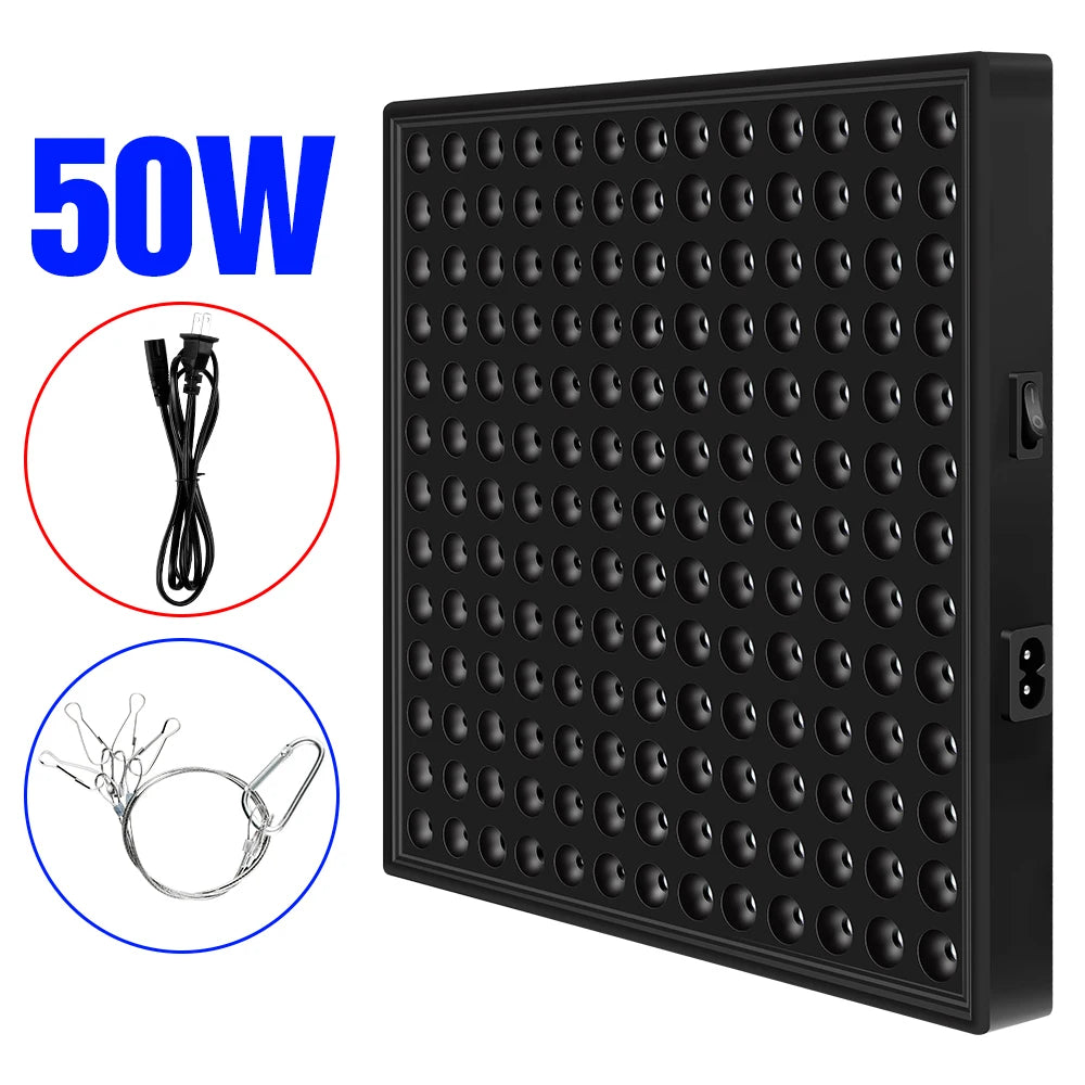 EU US UK Plug Vegetables Seed Phyto Grow Lamp LED Full Spectrum Hydroponic System Growing Light 30W 50W Seedling Fito Lampy 220V