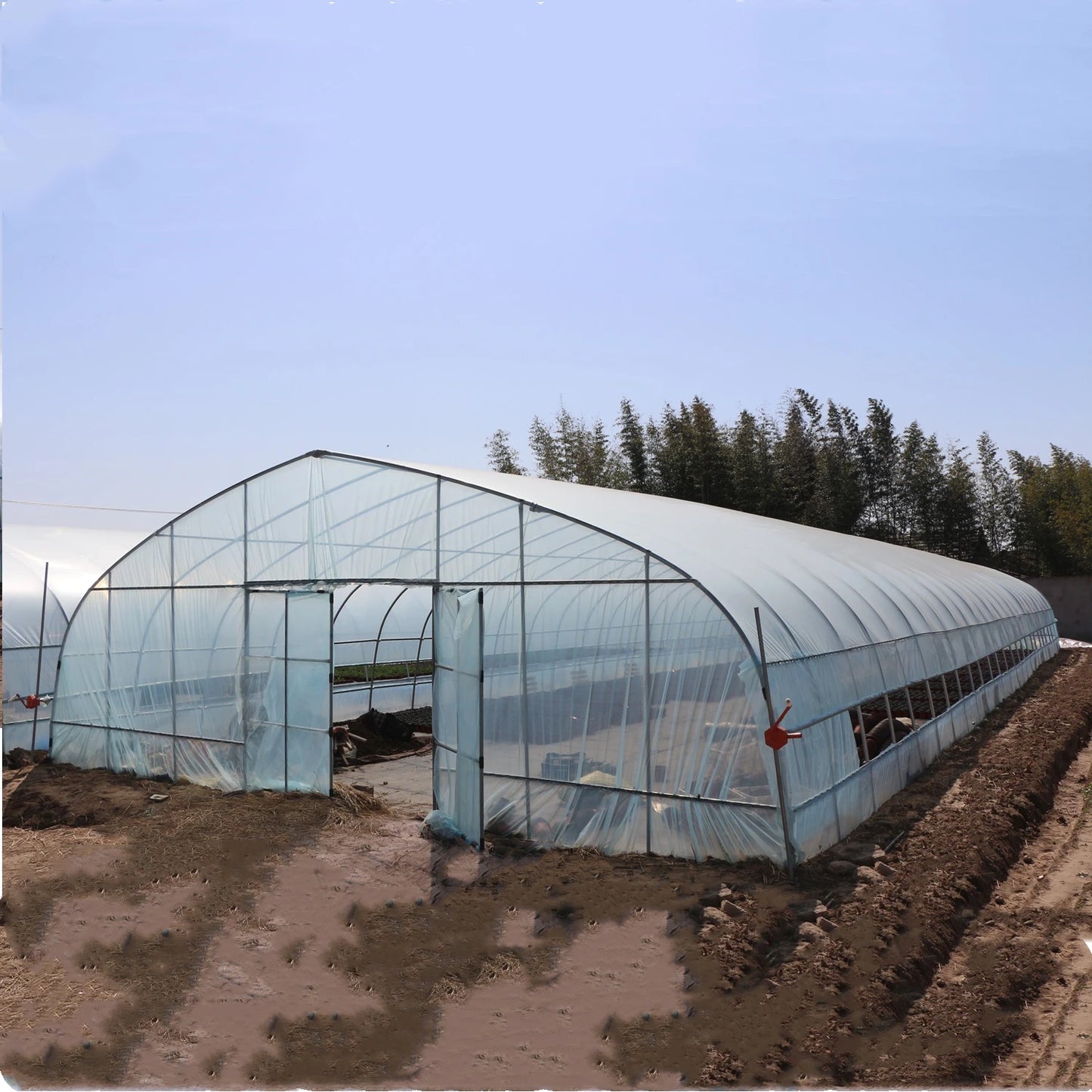 8M*30M Very strong frame and film for agricultural vegetable polytunnel Greenhouse